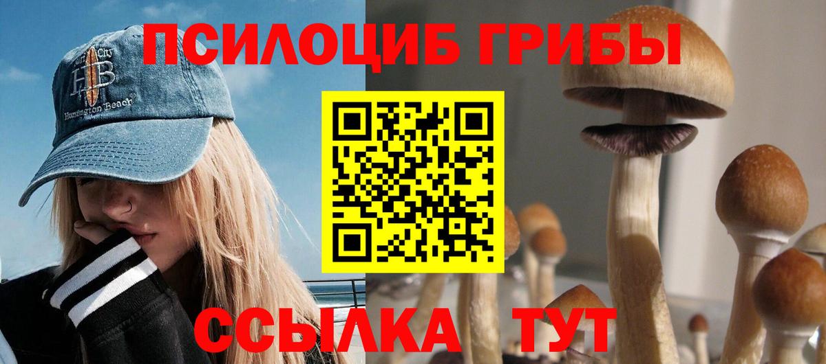 Егорьевск  Галлюциногенные грибы ЛСД  Вход с VPN 